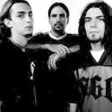Animal-band