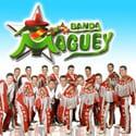 banda_maguey26
