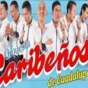 caribenos-de-guadalupe2