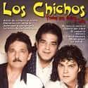 chichos-1