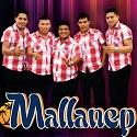 mallanep