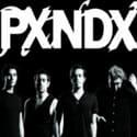 panda_pxndx