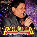 pascualillo_coronado