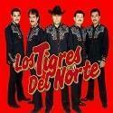 tigres-norte1